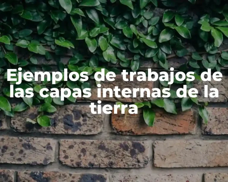 Ejemplos de trabajos de las capas internas de la tierra