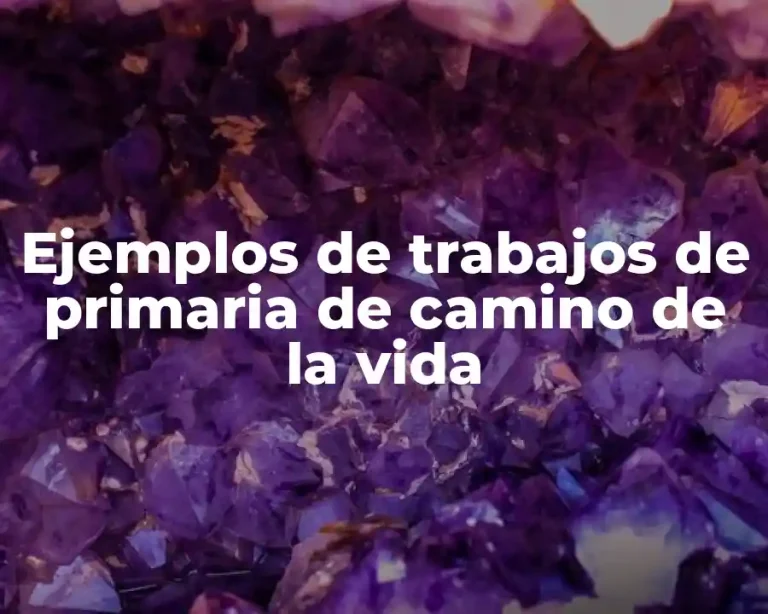 Ejemplos de trabajos de primaria de camino de la vida