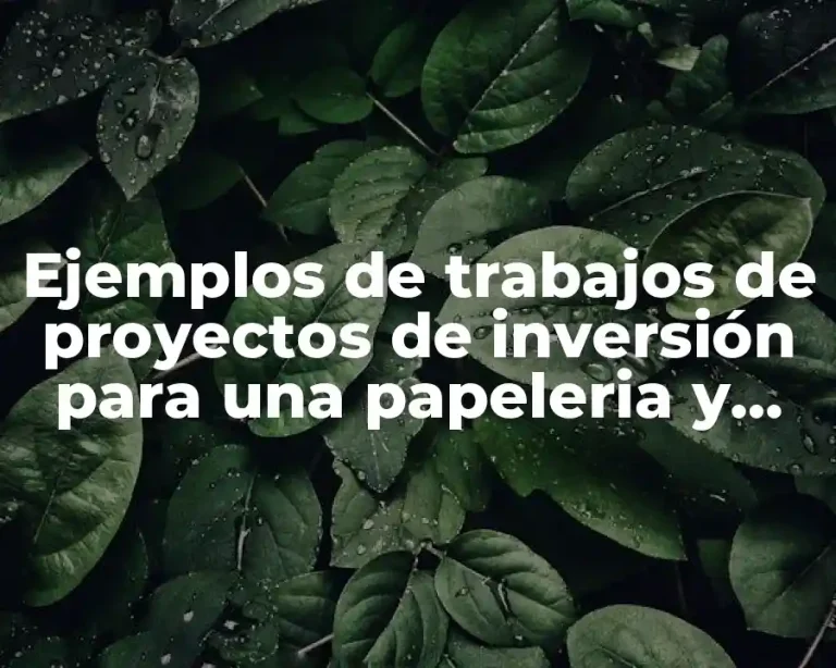 Ejemplos de trabajos de proyectos de inversión para una papeleria y Significado