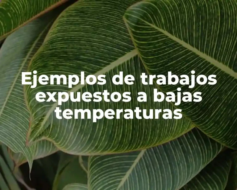 Ejemplos de trabajos expuestos a bajas temperaturas