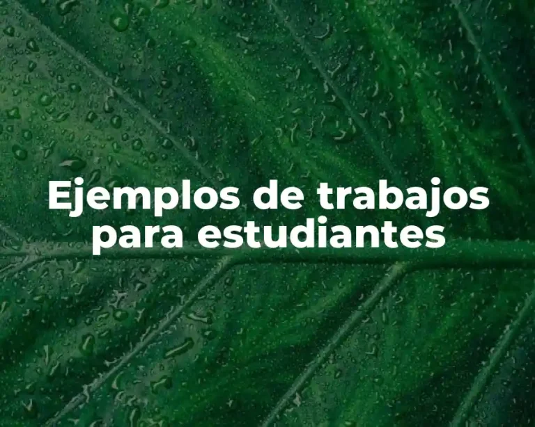Ejemplos de trabajos para estudiantes