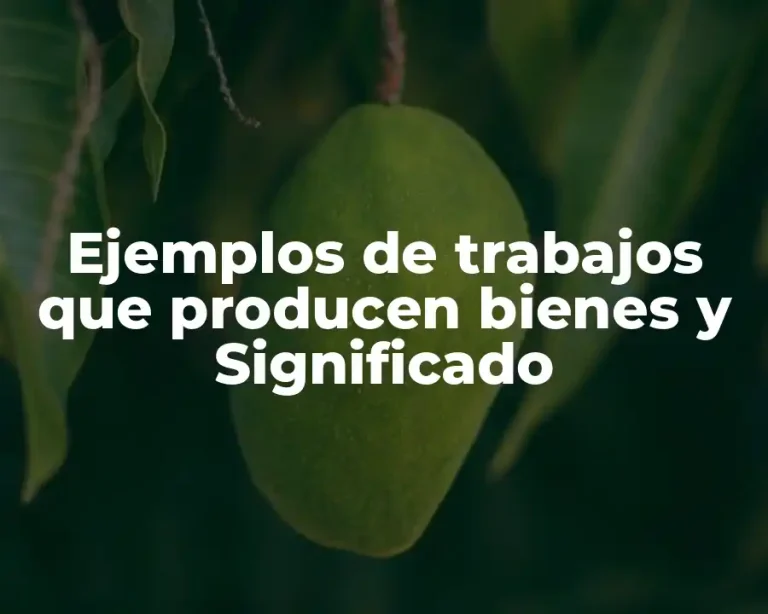 Ejemplos de trabajos que producen bienes y Significado