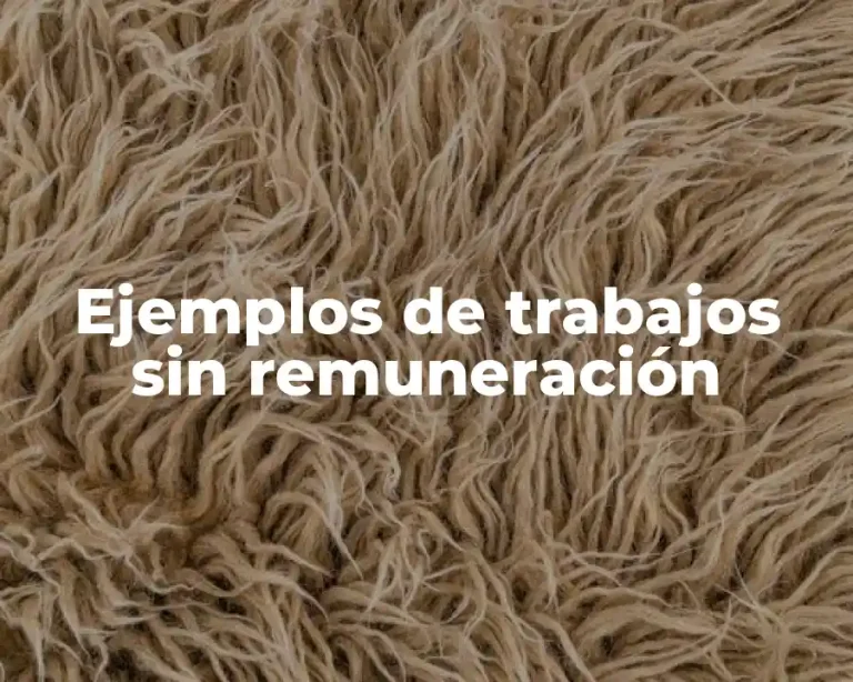 Ejemplos de trabajos sin remuneración