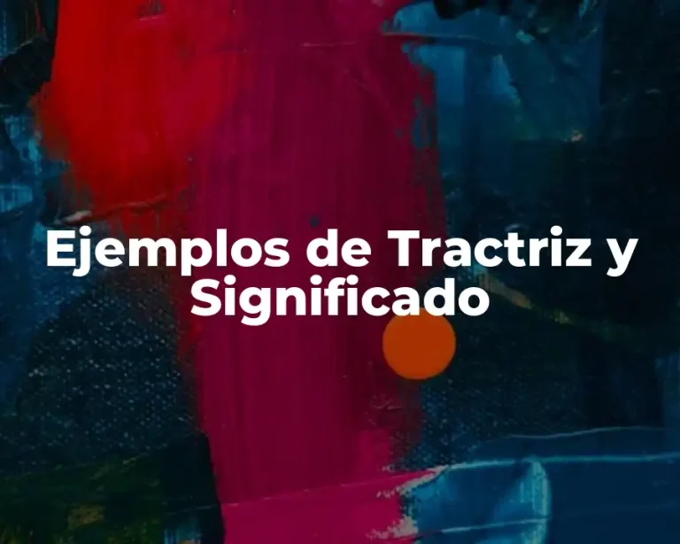 Ejemplos de Tractriz y Significado