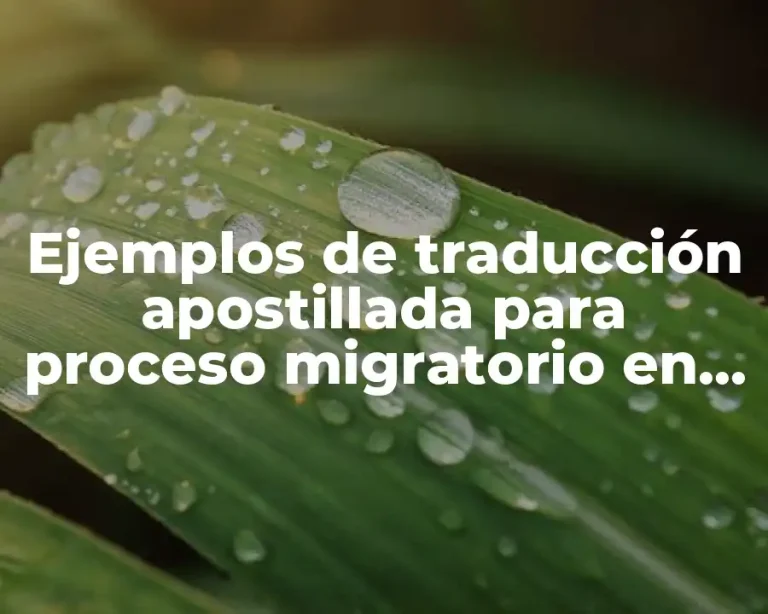 Ejemplos de traducción apostillada para proceso migratorio en Estados