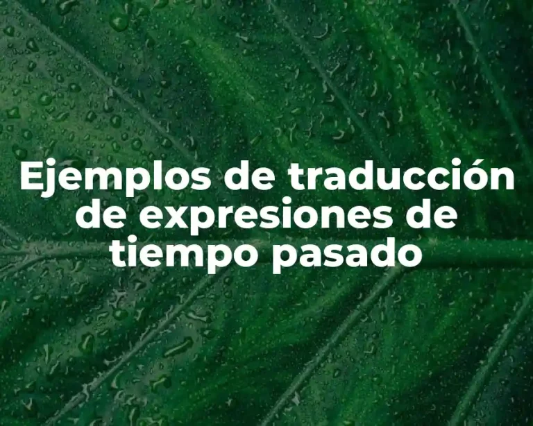 Ejemplos de traducción de expresiones de tiempo pasado