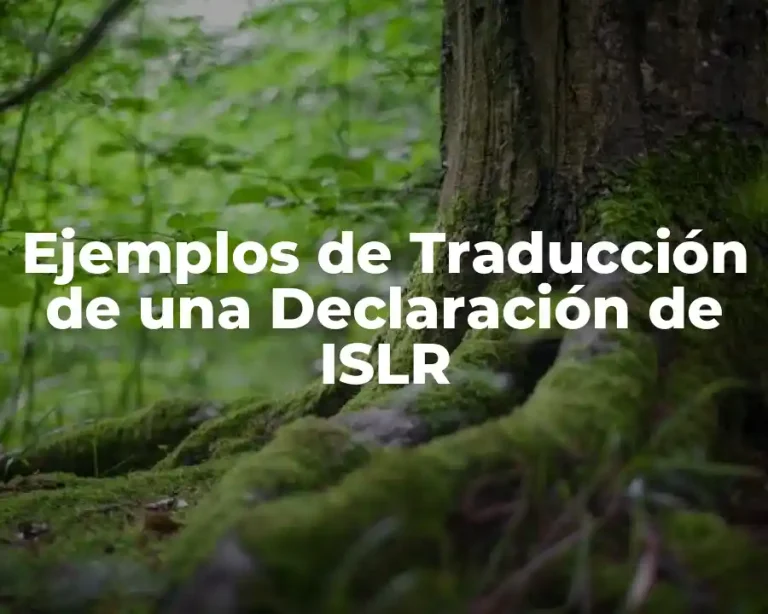 Ejemplos de Traducción de una Declaración de ISLR