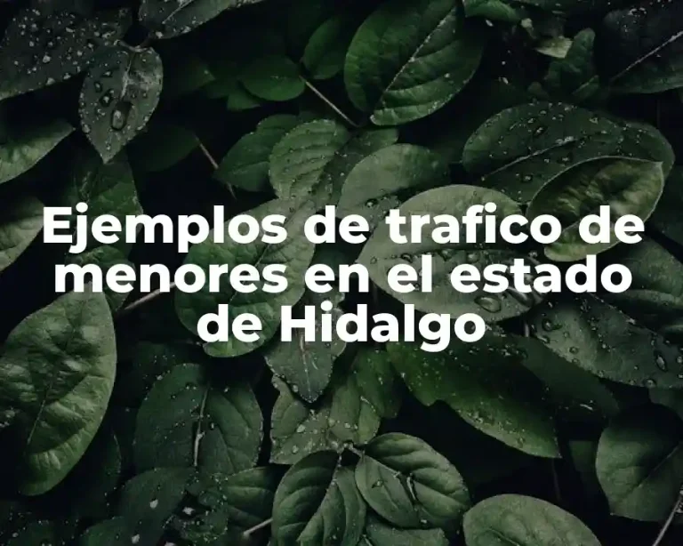 Ejemplos de trafico de menores en el estado de Hidalgo