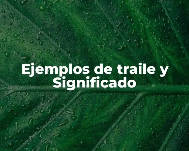 Ejemplos de traile y Significado