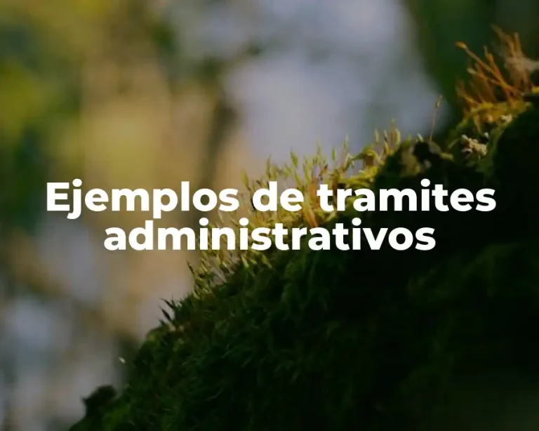 Ejemplos de tramites administrativos
