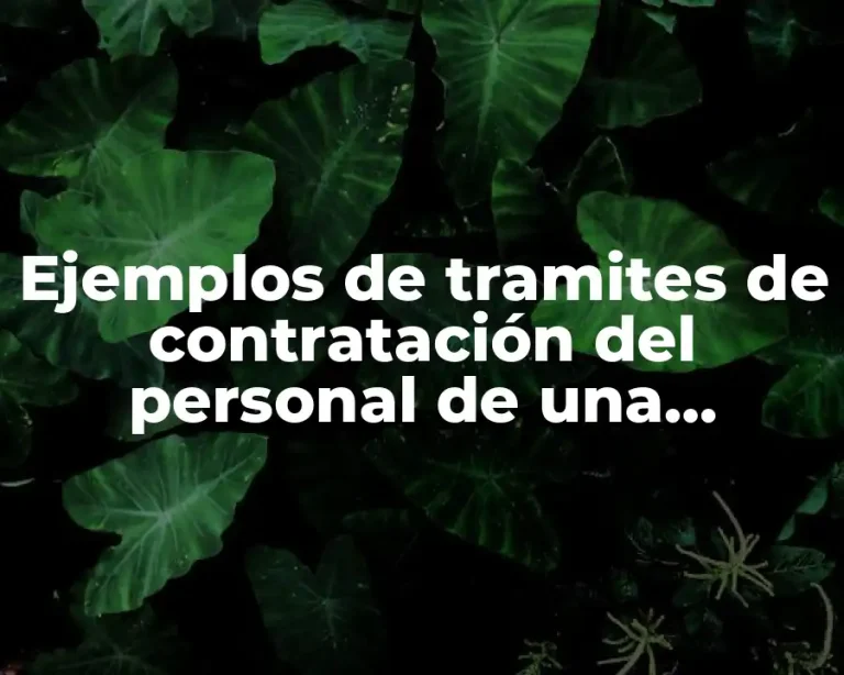 Ejemplos de tramites de contratación del personal de una empresa