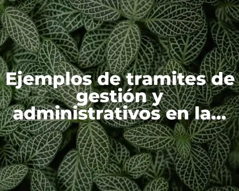Ejemplos de tramites de gestión y administrativos en la educación