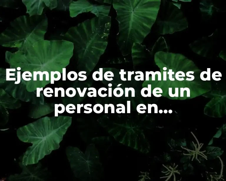 Ejemplos de tramites de renovación de un personal en maquiladora