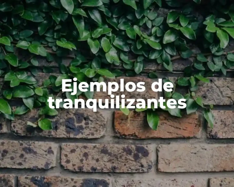 Ejemplos de tranquilizantes