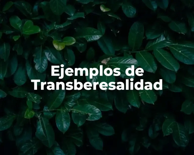 Ejemplos de Transberesalidad