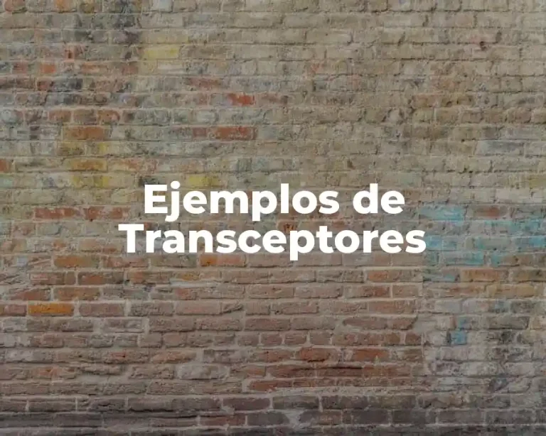 Ejemplos de Transceptores