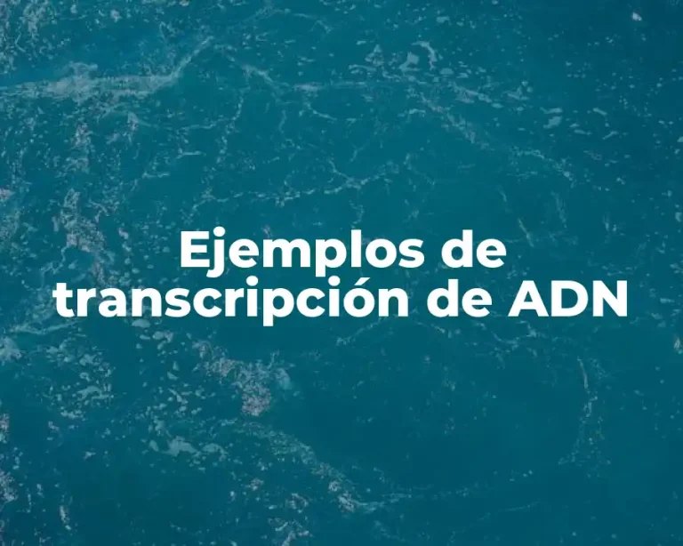 Ejemplos de transcripción de ADN