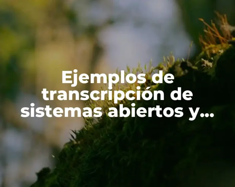 Ejemplos de transcripción de sistemas abiertos y cerrados