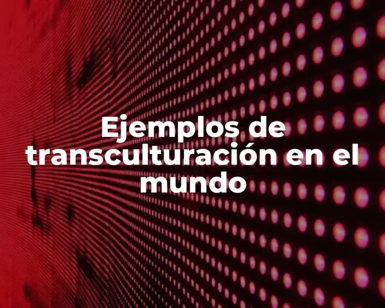 Ejemplos de transculturación en el mundo