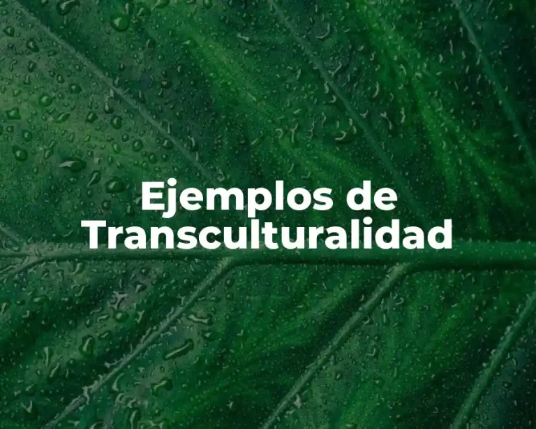 Ejemplos de Transculturalidad