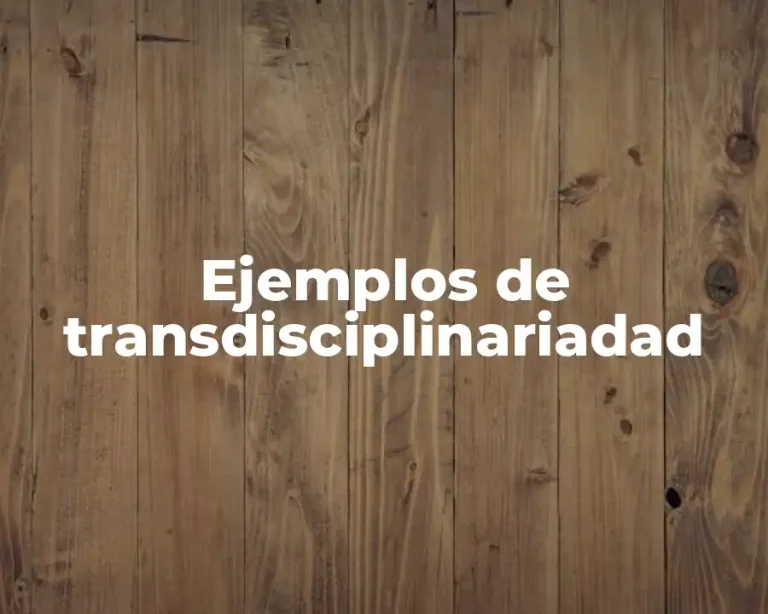 Ejemplos de transdisciplinariadad