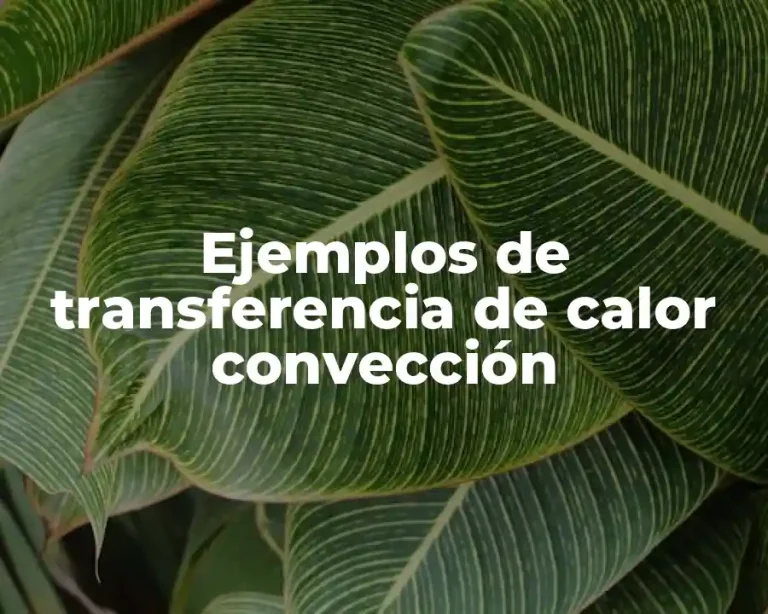 Ejemplos de transferencia de calor convección