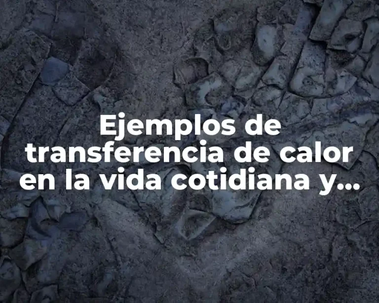 Ejemplos de transferencia de calor en la vida cotidiana y Significado