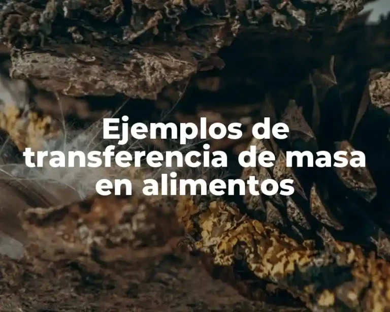 Ejemplos de transferencia de masa en alimentos