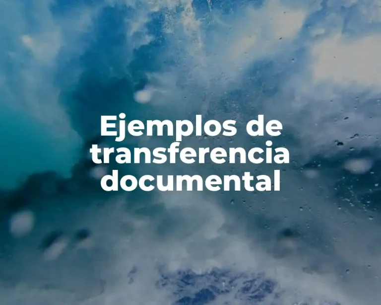 Ejemplos de transferencia documental
