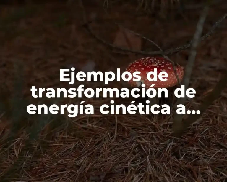 Ejemplos de transformación de energía cinética a potencial