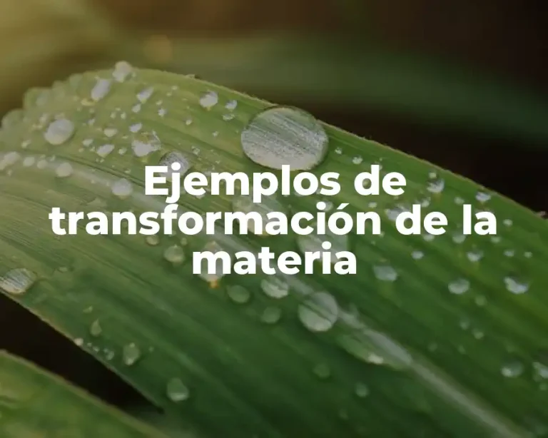 Ejemplos de transformación de la materia