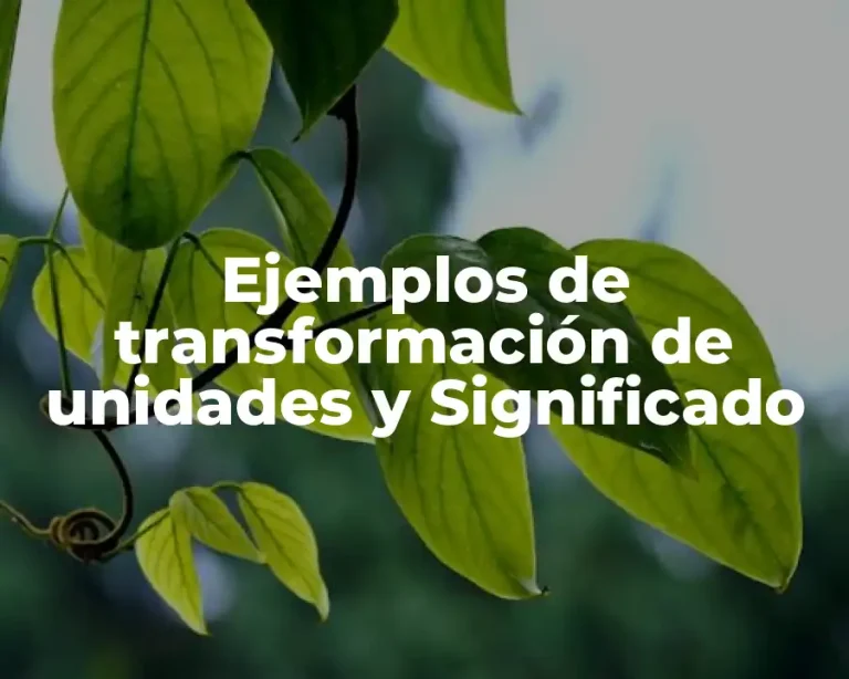 Ejemplos de transformación de unidades y Significado