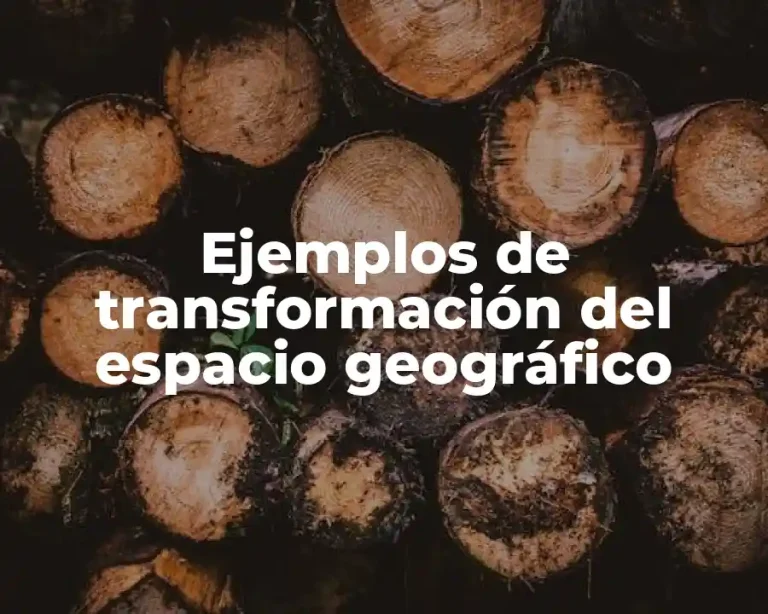 Ejemplos de transformación del espacio geográfico