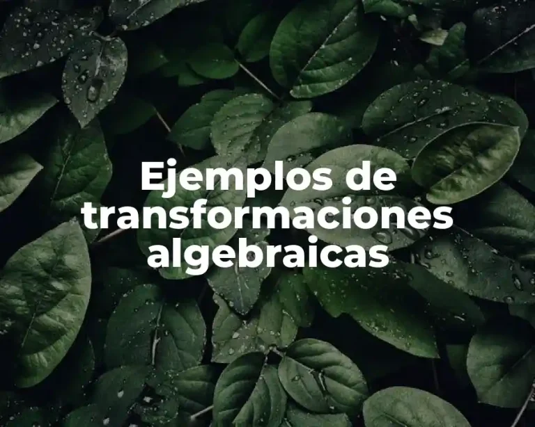 Ejemplos de transformaciones algebraicas