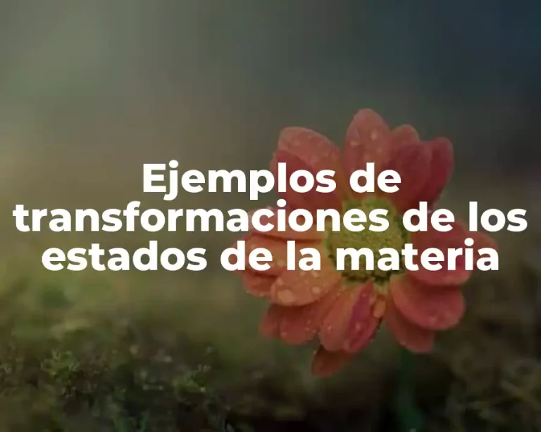 Ejemplos de transformaciones de los estados de la materia