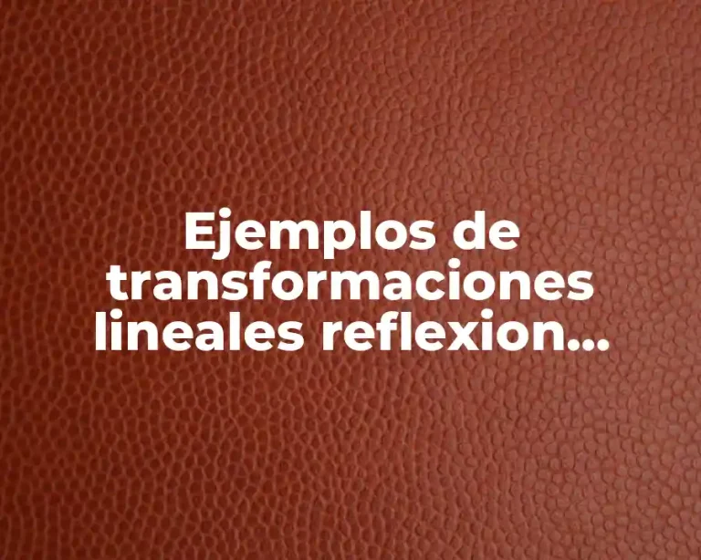 Ejemplos de transformaciones lineales reflexion dilatacion contraccion