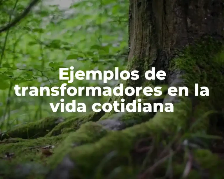 Ejemplos de transformadores en la vida cotidiana