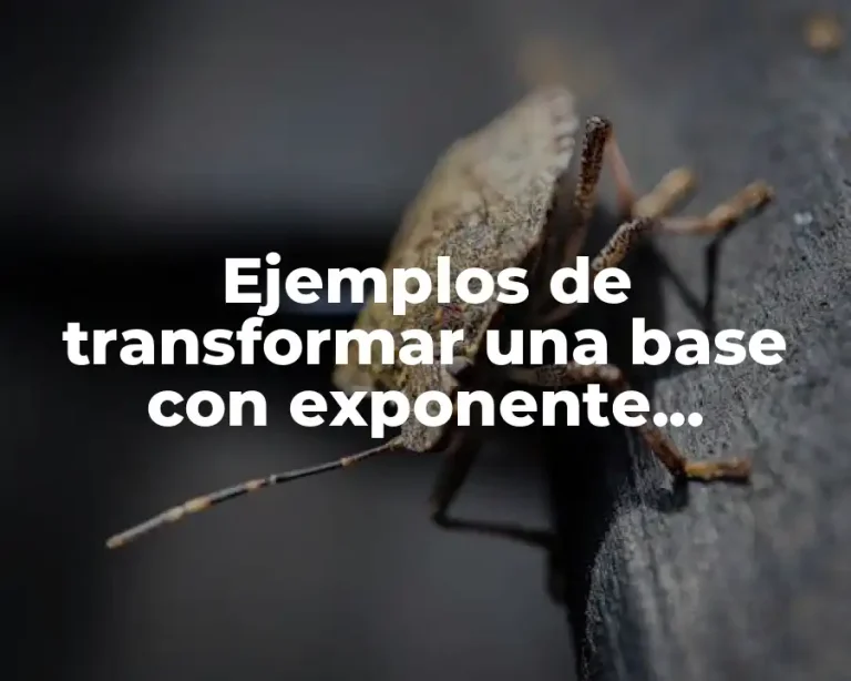 Ejemplos de transformar una base con exponente negativo a positivo