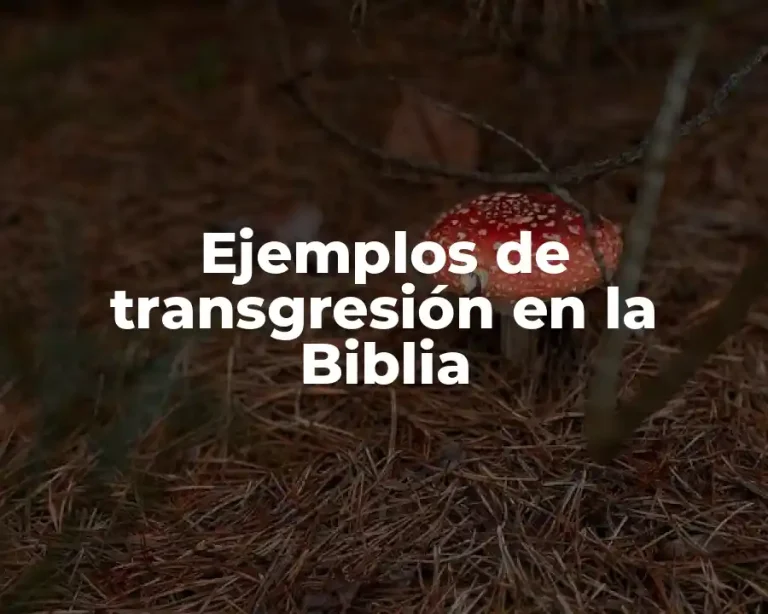 Ejemplos de transgresión en la Biblia