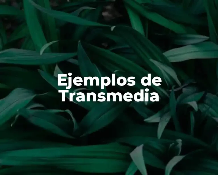 Ejemplos de Transmedia