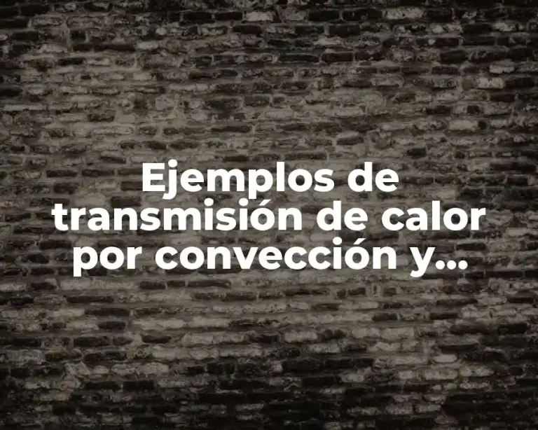 Ejemplos de transmisión de calor por convección y Significado
