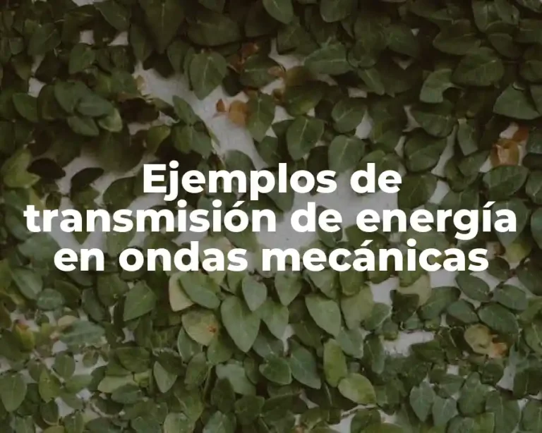 Ejemplos de transmisión de energía en ondas mecánicas