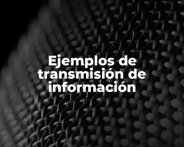 Ejemplos de transmisión de información