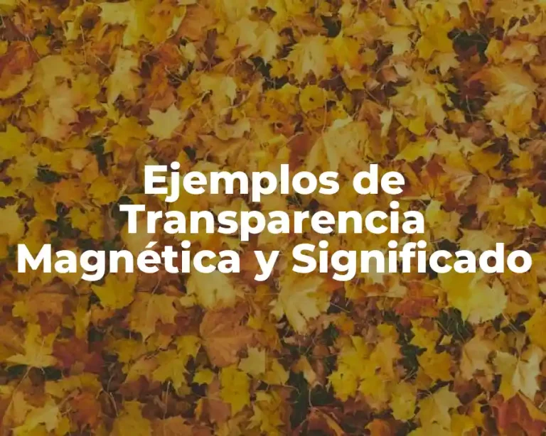 Ejemplos de Transparencia Magnética y Significado