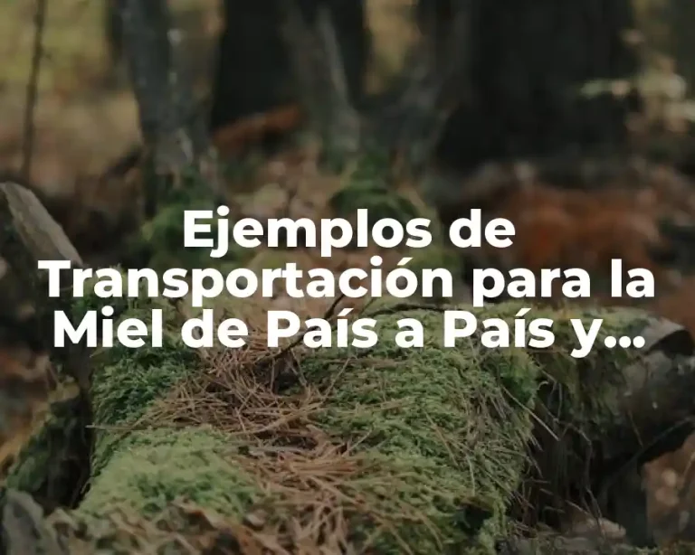 Ejemplos de Transportación para la Miel de País a País y Significado