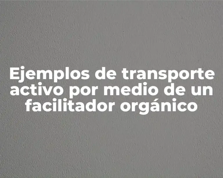Ejemplos de transporte activo por medio de un facilitador orgánico