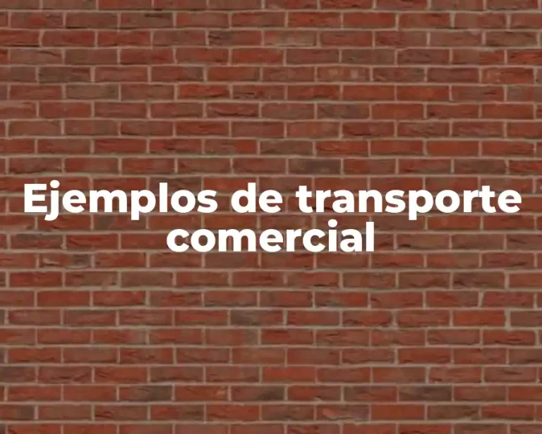 Ejemplos de transporte comercial