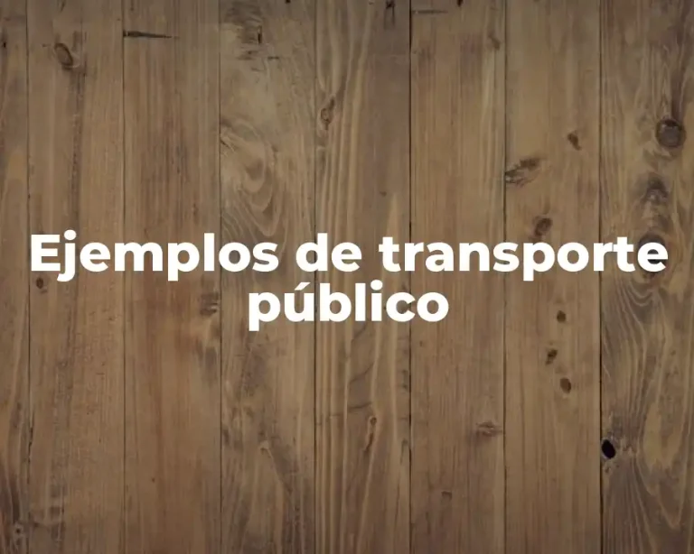 Ejemplos de transporte público