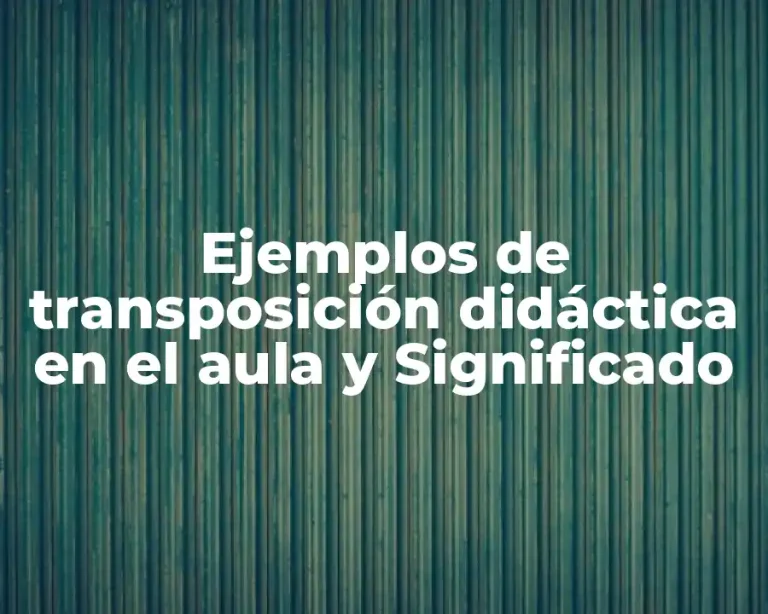 Ejemplos de transposición didáctica en el aula y Significado