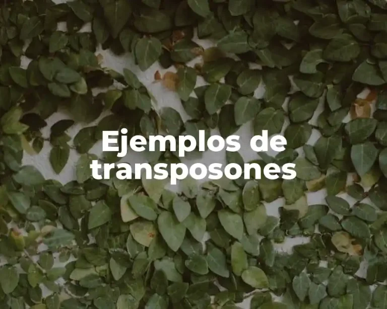 Ejemplos de transposones